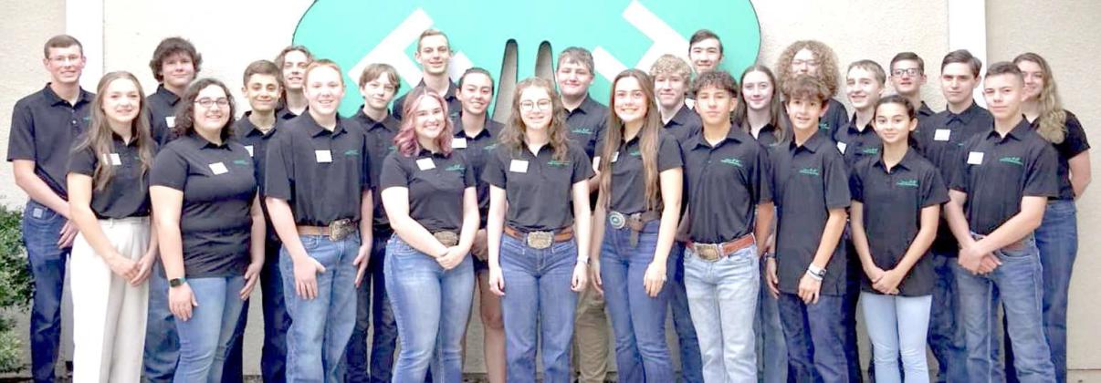 4-H STEM