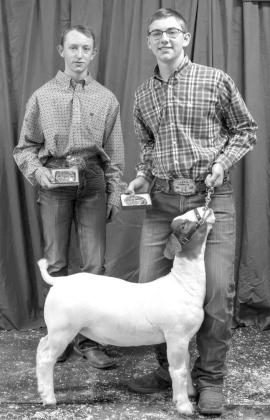 Ryan Muller and Grant Muller win Division Champion and Showmanship, respectively, at the Lamb County Junior Livestock Show on January 10, 2026. (Photo by Madison Vidales)