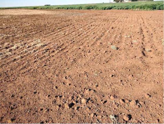 TYPICAL BARE fallow ground in 2022 which needs cover for winter. (Photo courtesy Kerry Siders)