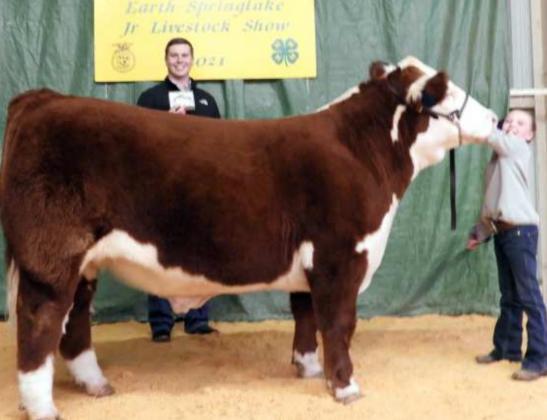 Grand Champions selected at Earth-Springlake Stock Show on Jan. 28th