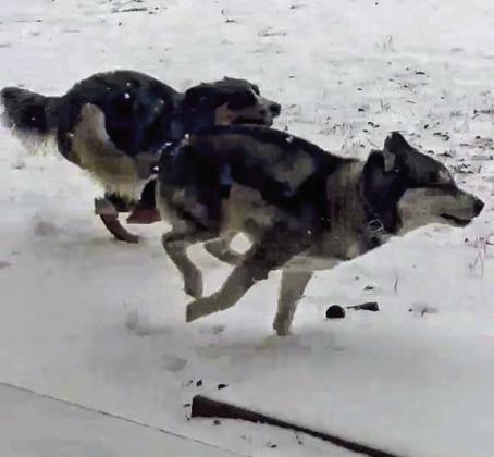Snow better place to have fun