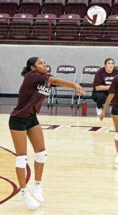 Lady Cats host first scrimmages of the year