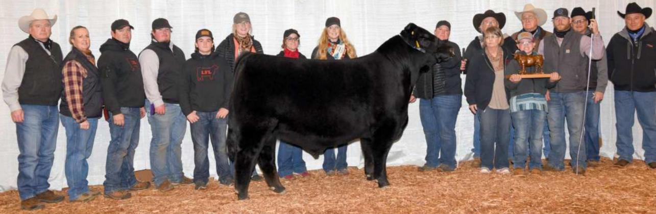 Limousin After 5 Club Bull Champion selected at the 2021 Cattlemen’s Congress