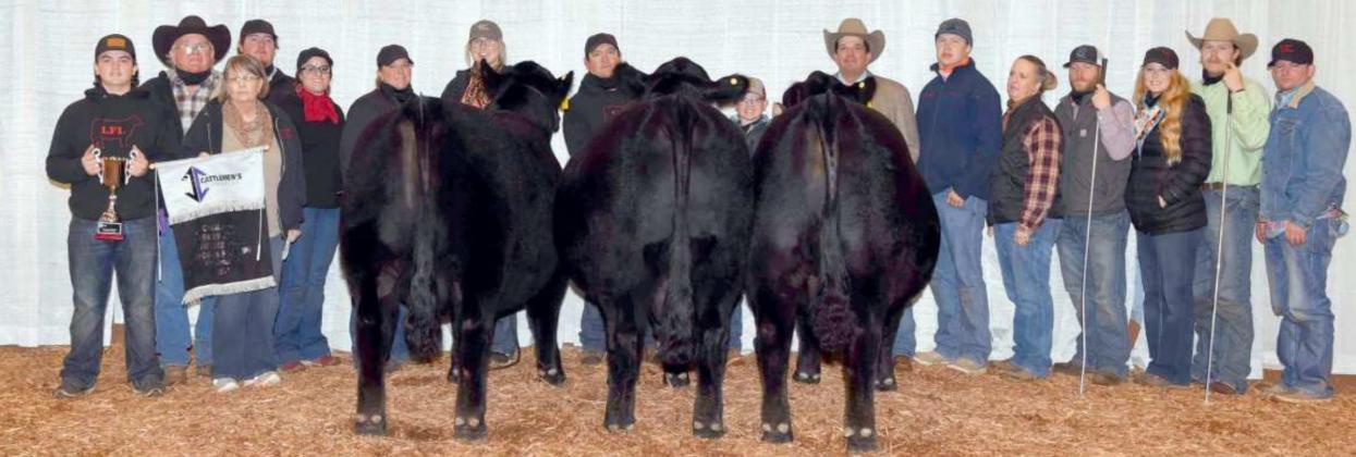 Limousin After 5 Club Bull Champion selected at the 2021 Cattlemen’s Congress
