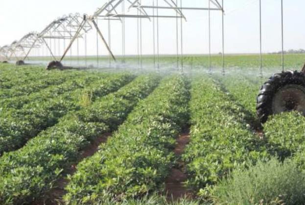 Partners with Nature: Crop and Pest Situation