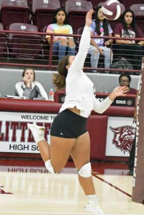 KAELEIGH LOGAN - Littlefield Lady Cats