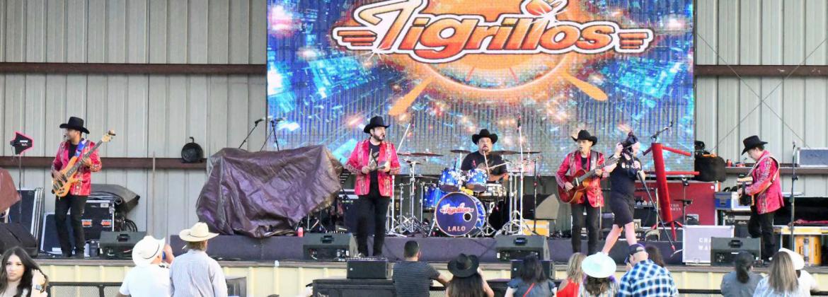 Los Tigrillos graced the stage on Saturday night, as part of the Flatland Music Festival line-up. They were the second band to perform on the evening. (Staff Photo by Derek Lopez)