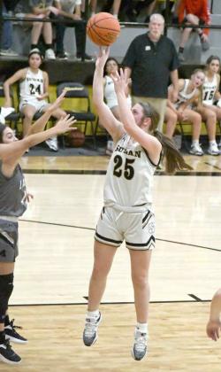 GRACYN SHULTZ - Sudan Nettes