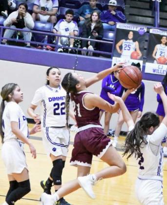 JAZMINE BARIOS - Littlefield Lady Cats