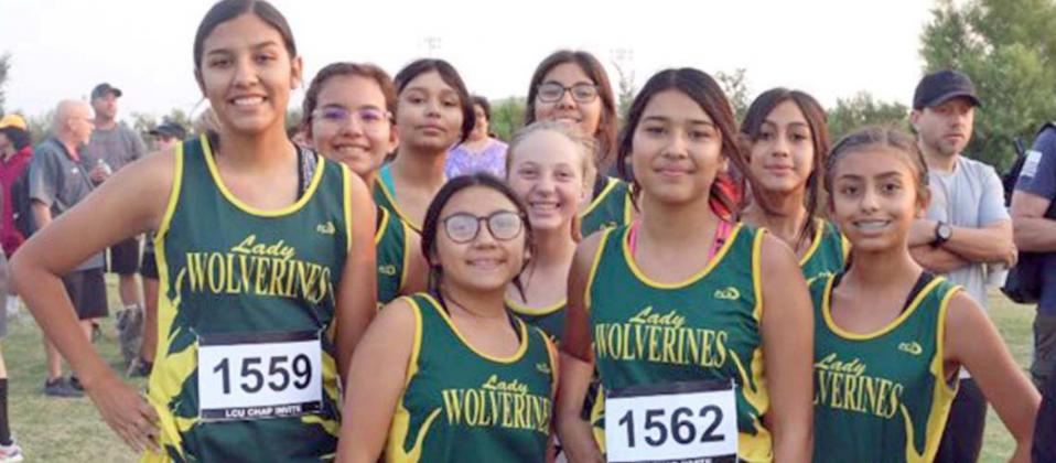 The Springlake-Earth Lady Wolverines’ junior high cross country team competed against 353 runners. (Shown No Order): Aabriella Villanueva, Chelsie Bridges, Kaitlyn Samaron, Jessica Mendoza, Braylee Herriage, Violeta Chavez, Hannah Alvarez, Natalie Rosalez, Ennah Mosqueda. (Submitted Photo)