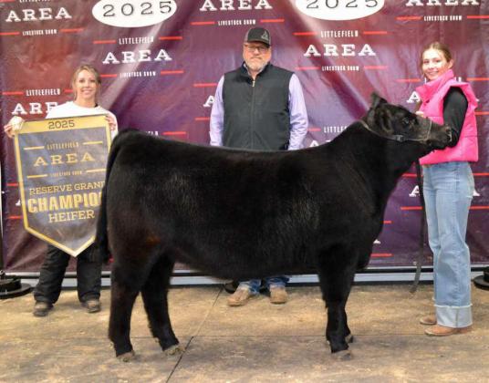 Maggie McNeese of Littlefield FFA brought home Reserve Grand Champion Heifer on Thursday at the 2025 Littlefield Area Junior Livestock Show at the Lamb County Ag Center in Littlefield. The heifers were judged by Matt Popelka. (Staff Photo by Grata Reber)