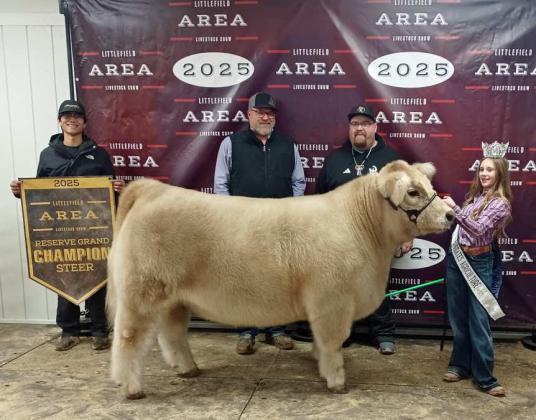 Paisli Claunch of Sudan 4-H brought home Reserve Grand Champion Steer on Thursday at the 2025 Littlefield Area Junior Livestock Show at the Lamb County Ag Center in Littlefield. The steers were judged by Matt Popelka. (Staff Photo by Grata Reber)