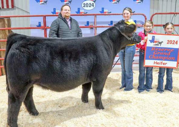 MAKENZIE DeBERRY Reserve Supreme Champion Heifer