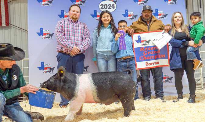ANTHONY REYES Reserve Grand Champion Barrow