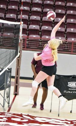 Littlefield season tickets on sale now