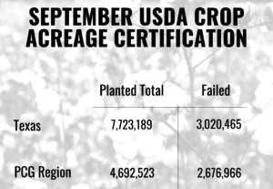 Export sales data released