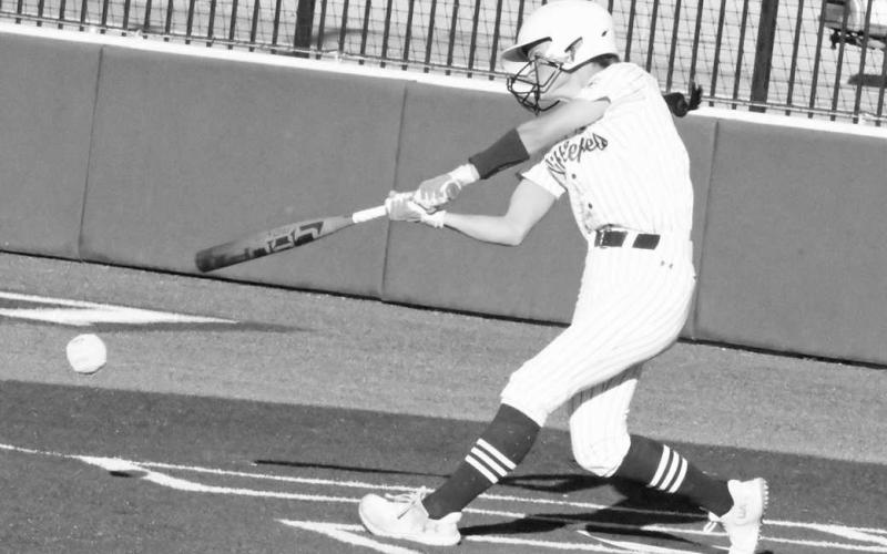 BRYNDLE RAY - Littlefield Lady Cats
