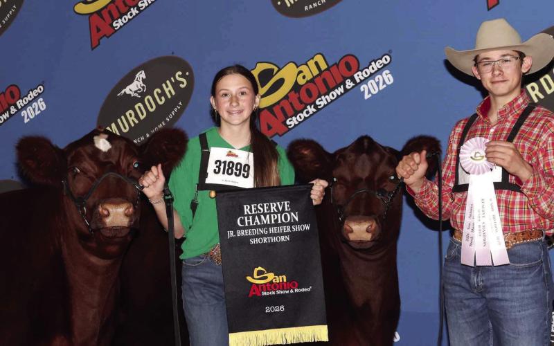 Lamb Co. 4-H at San Antionio Stock Show