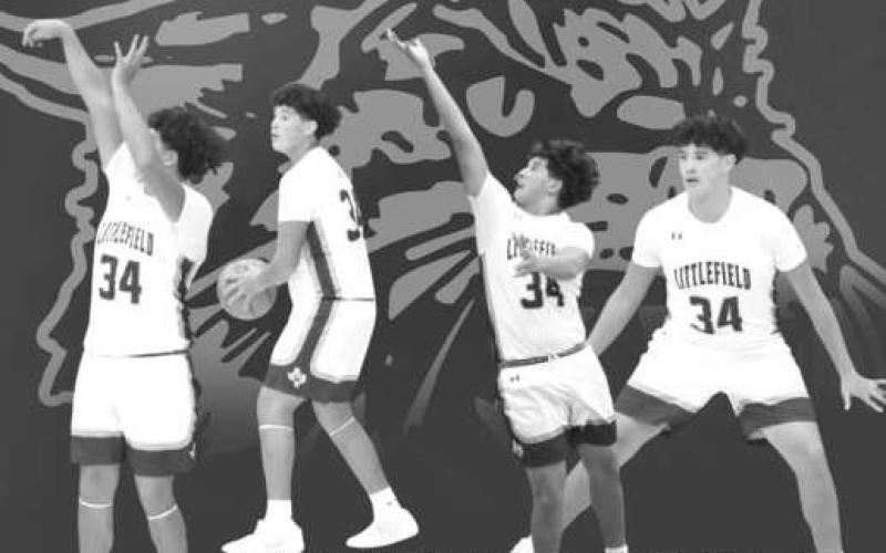 Lady Cats throttle Idalou, 21-1