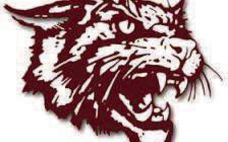 Marchin’ Cats Qualify for State Solo and Ensemble Contest