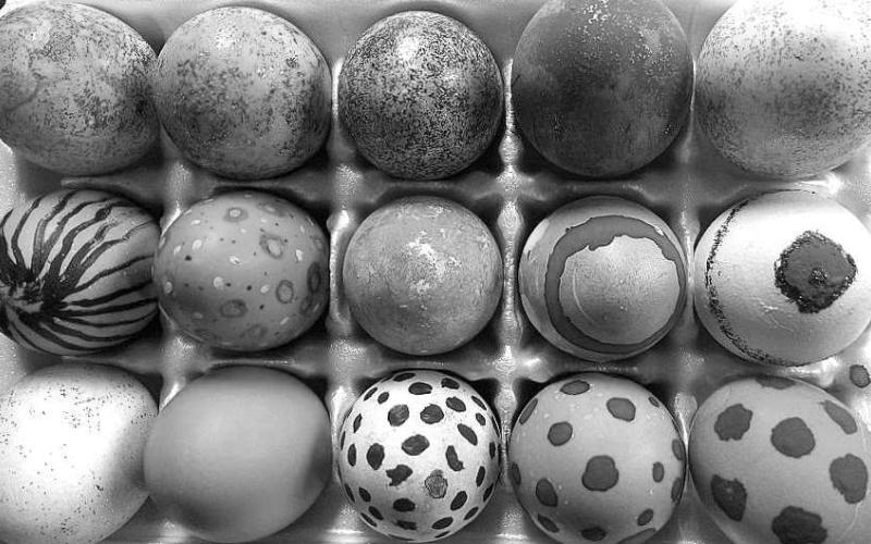 Eggs for breakfast, baking and Easter egg hunts are much lower than last year. Texas A&amp;amp;M AgriLife experts said U.S. egg-producing flocks have avoided major outbreaks of highly pathogenic avian influenza so far, meaning more eggs are making it to market. (Kim Topp, Adam Russell/Texas A&amp;amp;M AgriLife)