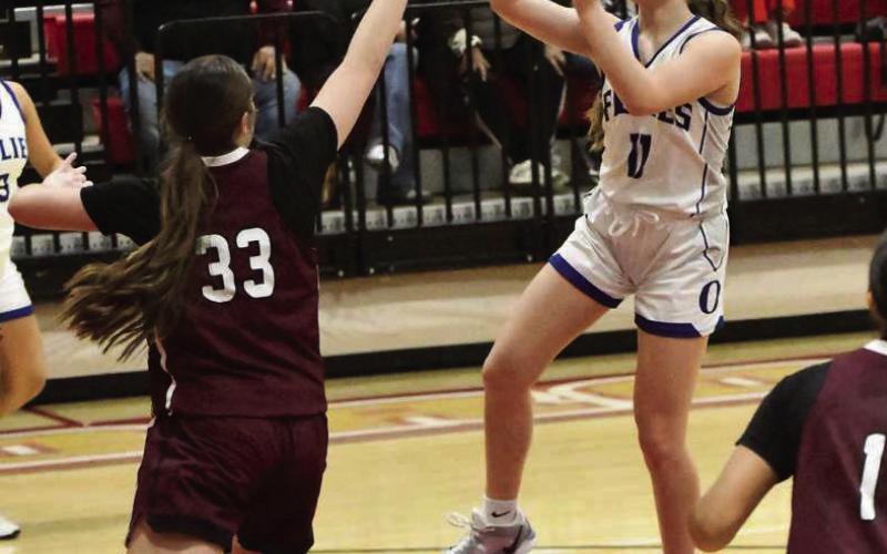ELLA AZAM - Olton Fillies